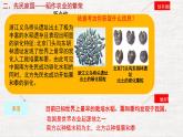 初中  歷史  人教版（2024）  七年級上冊第2課 原始農(nóng)業(yè)與史前社會 課件