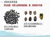 初中  歷史  人教版（2024）  七年級上冊第2課 原始農(nóng)業(yè)與史前社會 課件