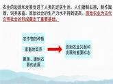 初中  歷史  人教版（2024）  七年級上冊第2課 原始農(nóng)業(yè)與史前社會 課件