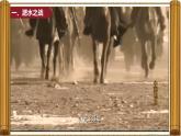 统编版七年级历史上册第19课《北朝政治和北方民族大交融》课件