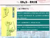部編版課件八下第13課香港和澳門回歸祖國