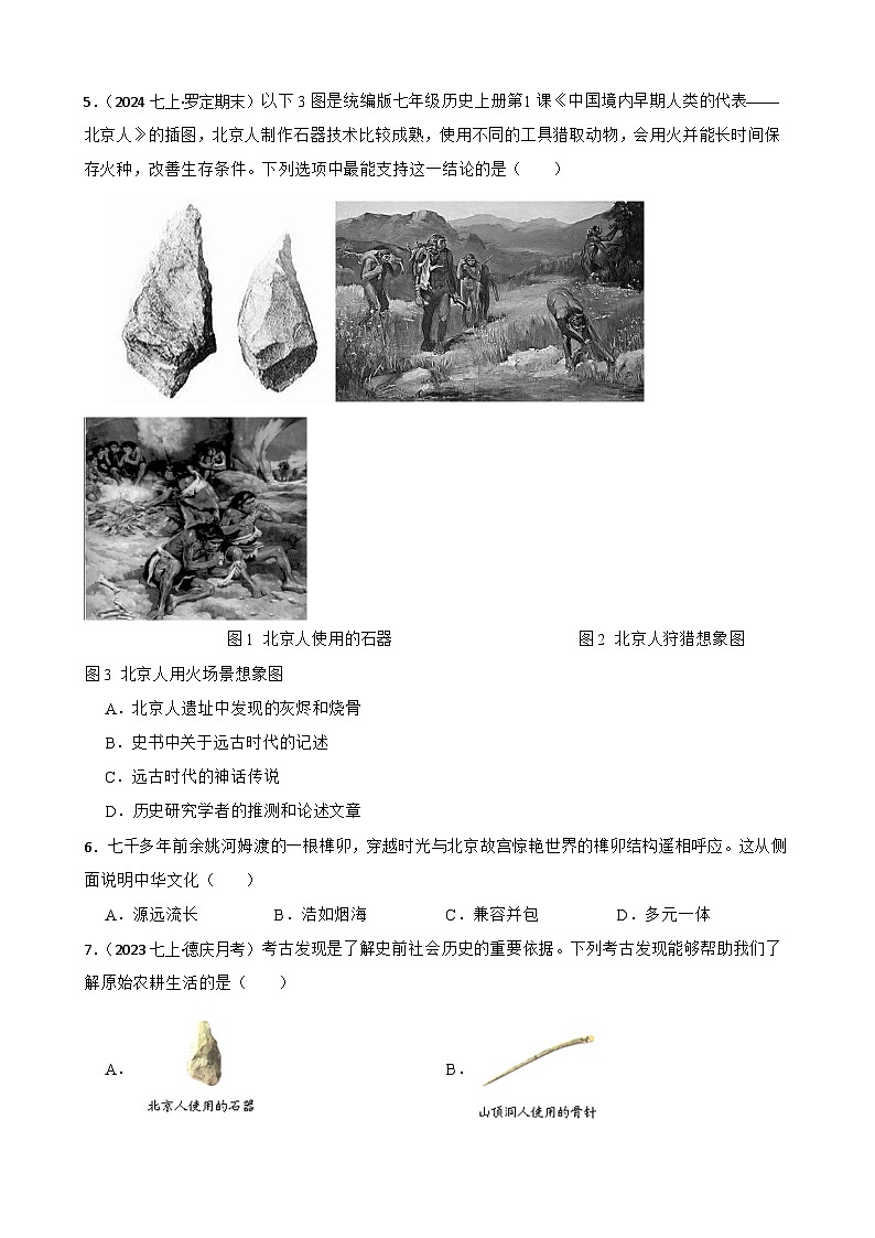 2025年中考历史一轮复习之经典好题单元练（一）——史前时期(学生版)第2页