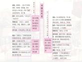 统编版（2024新版）七年级上册历史第一单元 史前时期：原始社会与中华文明的起源  复习课件