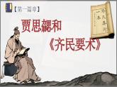 人教版七上历史 第20课 三国两晋南北朝时期的科技与文化（课件）
