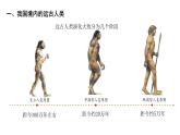 七年级上册历史统编版（2024）1 远古时期的人类活动 课件