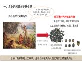七年级上册历史人教版（2024）2 原始农业与史前社会 课件