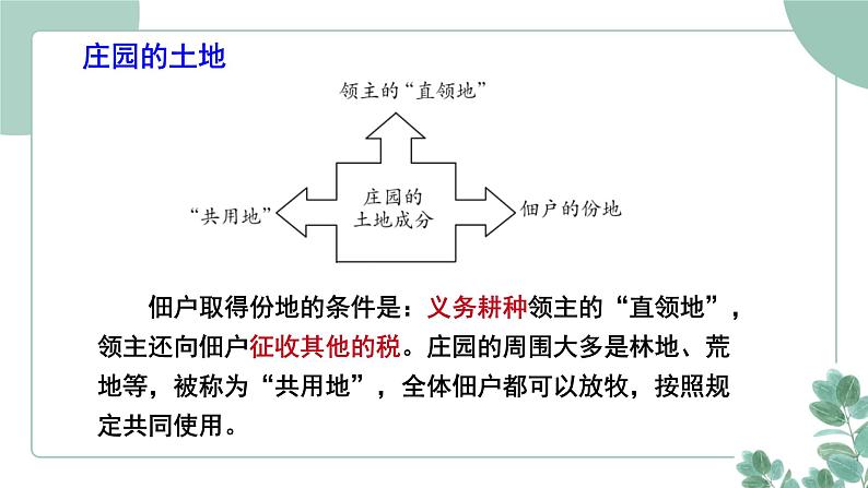 部编版历史九年级上册 8.西欧庄园课件第4页