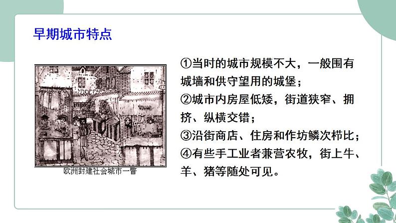 部编版历史九年级上册 9.中世纪城市和大学的兴起课件第5页