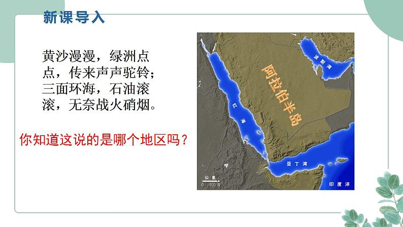 部编版历史九年级上册 12.阿拉伯帝国课件第2页