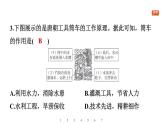 第3课 开元盛世课件-2024-2025学年统编版七年级历史下册