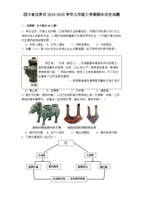 四川省自贡市2024-2025学年九年级上学期期末历史试题（解析版）