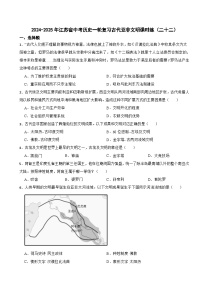 2024-2025年江苏省中考历史一轮复习古代亚非文明课时练（二十二）