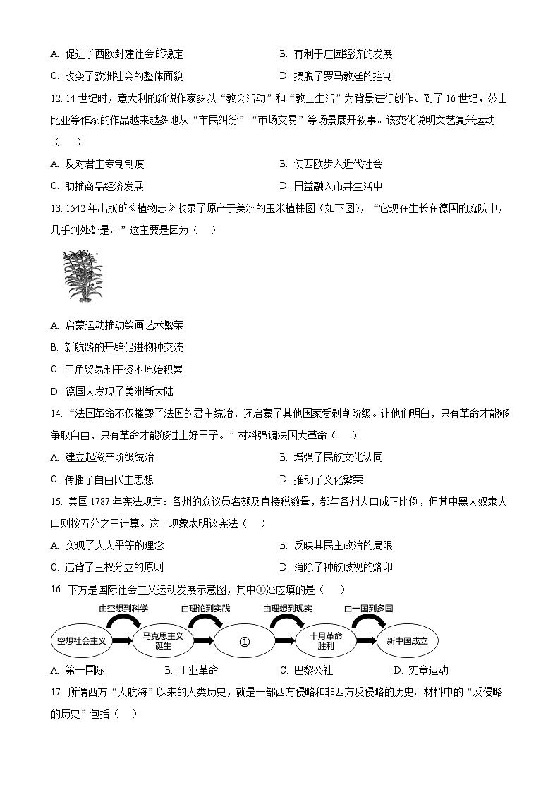 河南省许昌市2024-2025学年九年级上学期期末历史试题（含答案）第3页