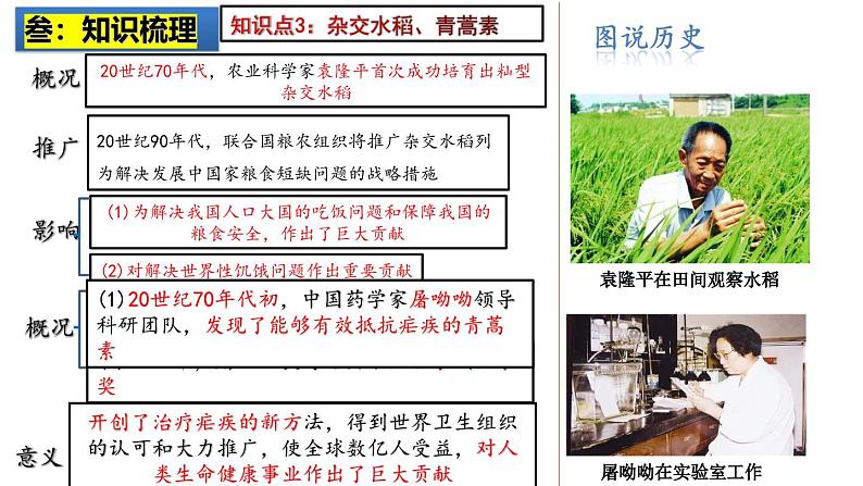 2025中考历史一轮复习：主题21 科技文化与社会生活 课件（核心素养时代）第6页