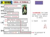 2025中考历史一轮复习：主题29  殖民地人民的反抗与资本主义制度的扩展 课件（核心素养时代）