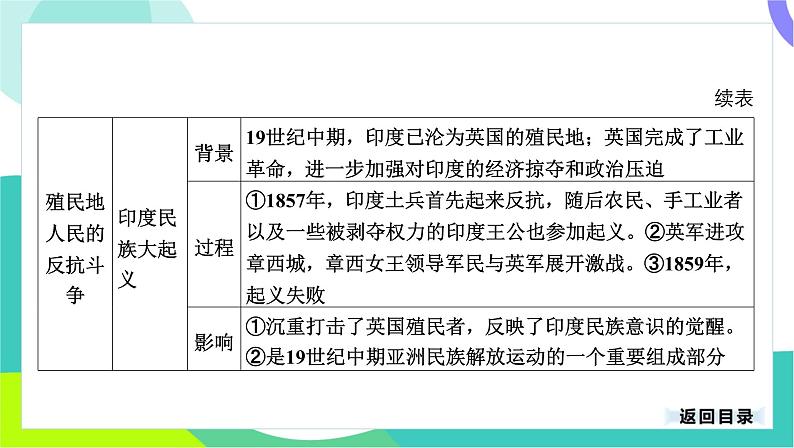 中考历史第一轮复习 第五部分 世界近代史 04-专题二十五 殖民地人民的反抗与资本主义制度的扩展 PPT课件第5页