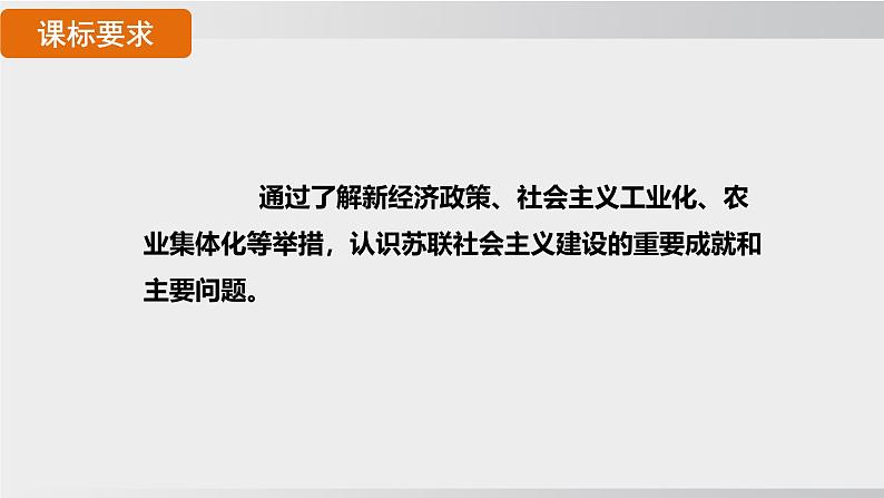 九年级历史下册课件《苏联的社会主义建设》第2页