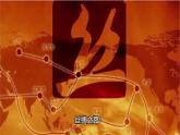 統(tǒng)編版(2024)版七年級歷史下冊 第13課 遼宋夏金元時期的對外交流(課件+教案）
