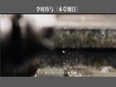 第21课 明清时期的科技与文化 （课件）--2024-2025学年统编版七年级历史下册