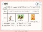 部编人教版七年级下册历史期末复习第一单元第三课能力提升全练14题课件PPT