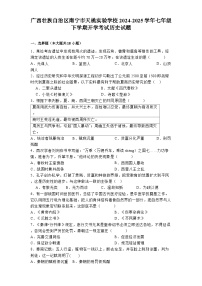 广西壮族自治区南宁市天桃实验学校2024-2025学年七年级下学期开学考试 历史试题（含解析）