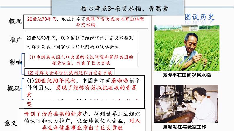 第六单元： 科技文化与社会生活 课件【核心素养时代新教学】（部编版）第7页