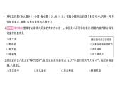 初中歷史新人教版七年級下冊第三單元綜合訓(xùn)練作業(yè)課件2025春