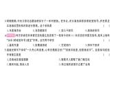 初中歷史新人教版七年級下冊第三單元綜合訓(xùn)練作業(yè)課件2025春