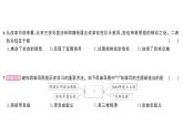 初中歷史新人教版七年級下冊第三單元綜合訓(xùn)練作業(yè)課件2025春