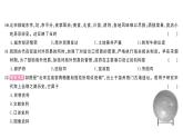 初中歷史新人教版七年級下冊第二單元綜合訓(xùn)練作業(yè)課件2025春