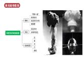 人教版初中歷史八年級下冊 第六單元  科技文化與社會(huì)生活（單元復(fù)習(xí)課件）