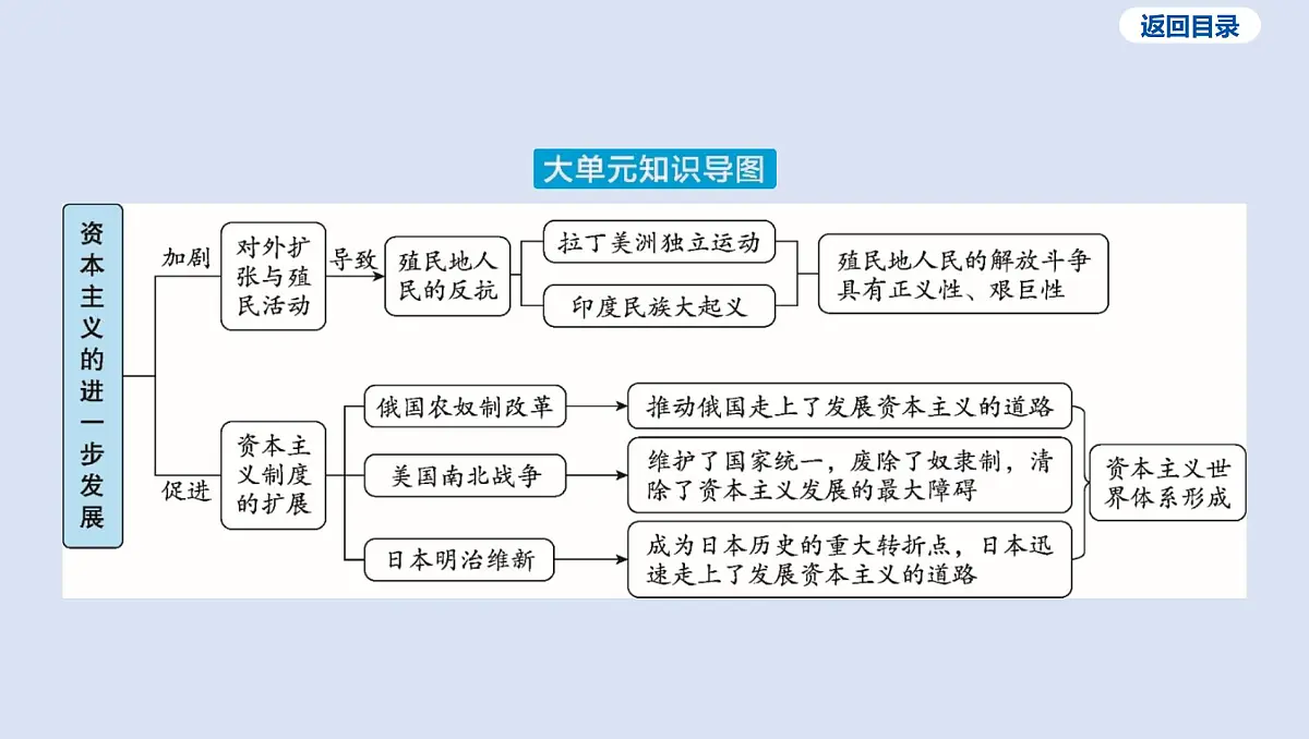 05-第四单元 殖民地人民的反抗与资本主义制度的扩展课件 2025年历史中考一轮复习第4页