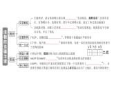 初中歷史新人教版七年級下冊第三單元第十八課 清朝的邊疆治理作業(yè)課件2025春