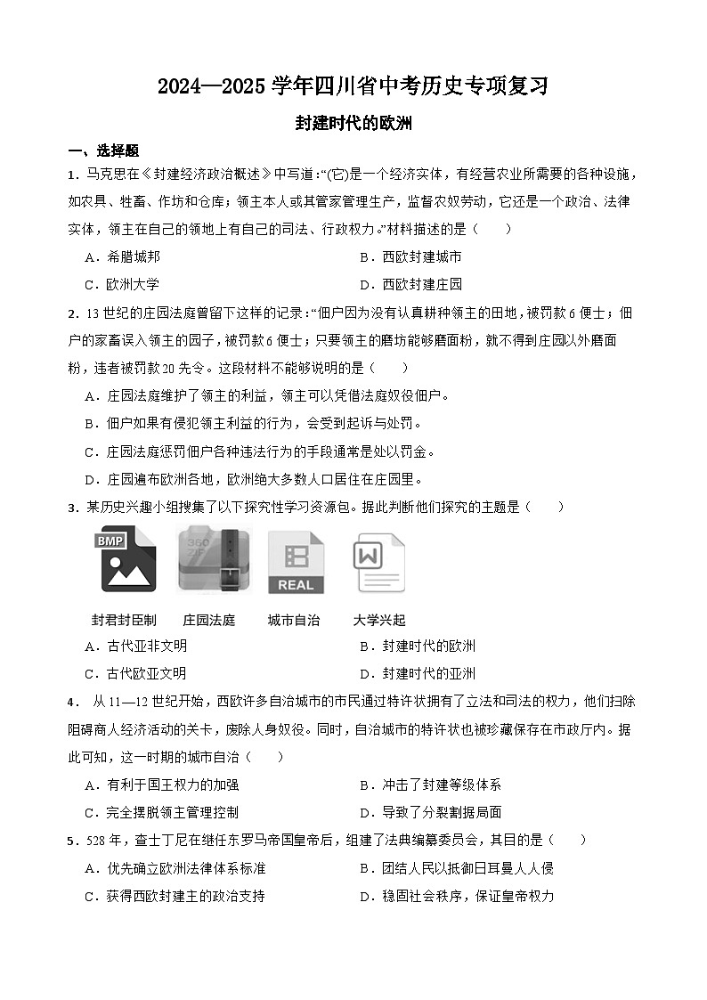2024—2025学年四川省中考历史专项复习练习(含答案)——封建时代的欧洲第1页