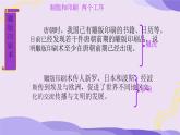 初中  歷史  人教版（2024）  七年級下冊（2024） 第7課 隋唐時期的科技與文化 課件