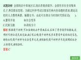 第二單元綜合訓(xùn)練 2025年七年級下冊歷史（人教版2024）課件（含試題）