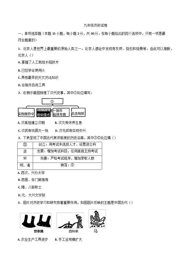 辽宁省鞍山市高新区2024~2025学年九年级下学期3月中考模拟历史试题第1页