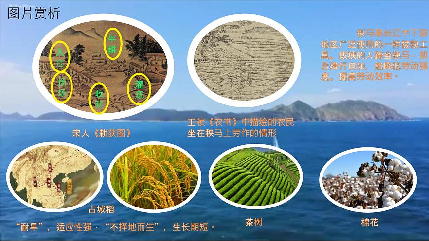 初中  历史  人教版（2024）  七年级下册（2024）第12课 宋元时期经济的繁荣 课件第5页