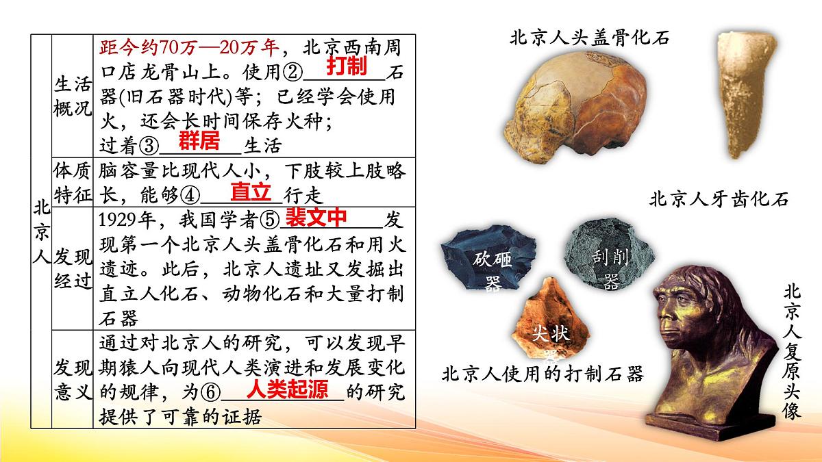 部编版七年级上册历史期末复习课件第6页