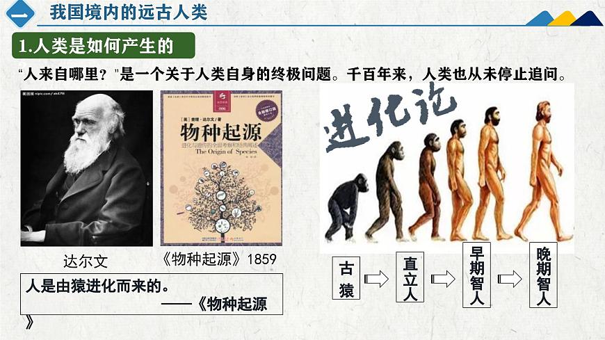 新统编版历史七上 1-1《远古时期的人类活动》课件第7页