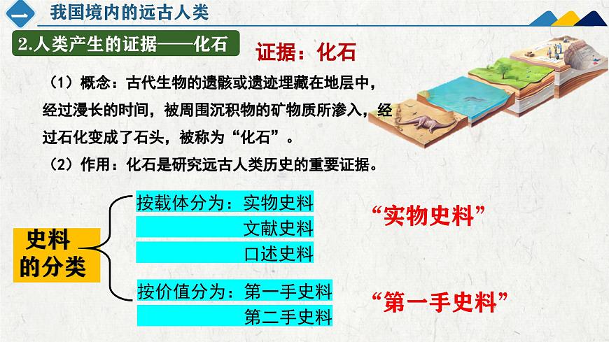 新统编版历史七上 1-1《远古时期的人类活动》课件第8页