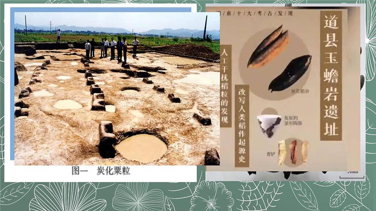 新统编版历史七上 1-2《原始农业与史前社会》-课件第5页