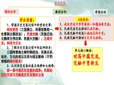 新統(tǒng)編版歷史七上 第四單元 大單元教學(xué)設(shè)計(jì)與教材解析 課件