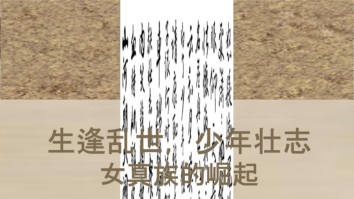 初中  历史  人教版（2024）  七年级下册（2024）第10课 金与南宋对峙 课件第4页