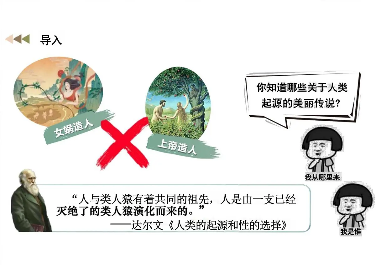 2024-2025学年部编版历史七年级上册 第1课 远古时期的人类活动 课件（新教材）第1页