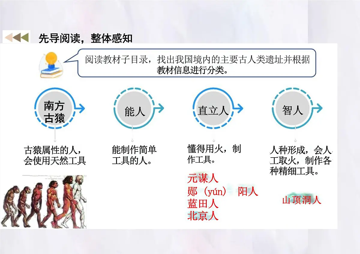 2024-2025学年部编版历史七年级上册 第1课 远古时期的人类活动 课件（新教材）第4页