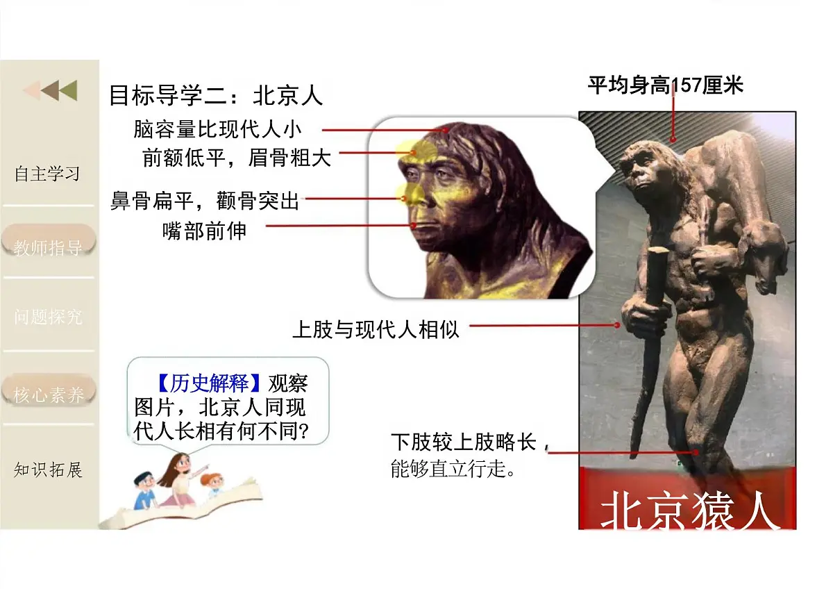 2024-2025学年部编版历史七年级上册 第1课 远古时期的人类活动 课件（新教材）第7页