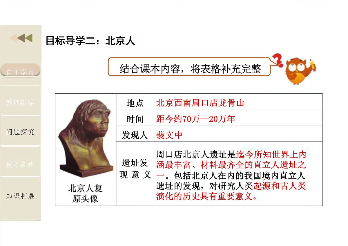 2024-2025学年部编版历史七年级上册 第1课 远古时期的人类活动 课件（新教材）第8页
