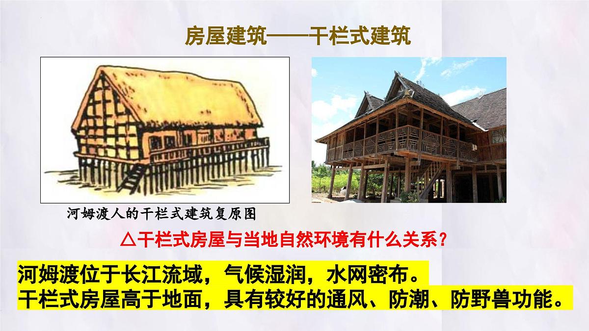 2024-2025学年部编版历史七年级上册 第2课 原始农业与史前社会 课件第6页