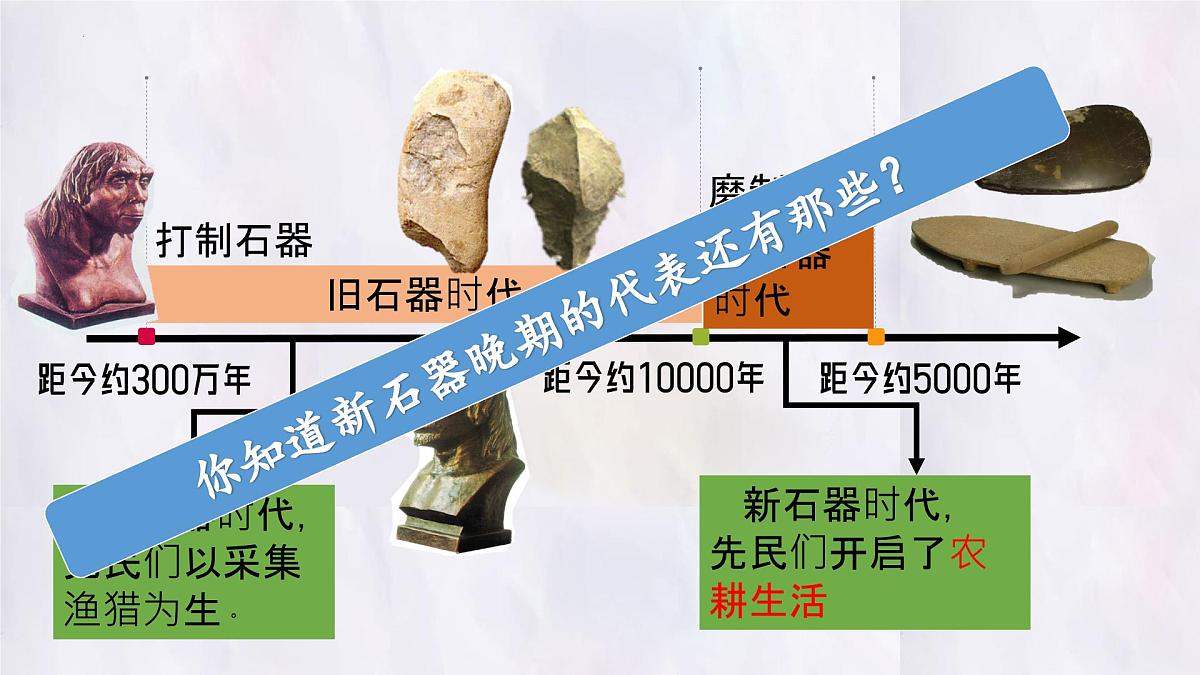 2024-2025学年部编版历史七年级上册 第2课 原始农业与史前社会 课件第8页